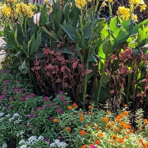 Meet your Posher, Sandy